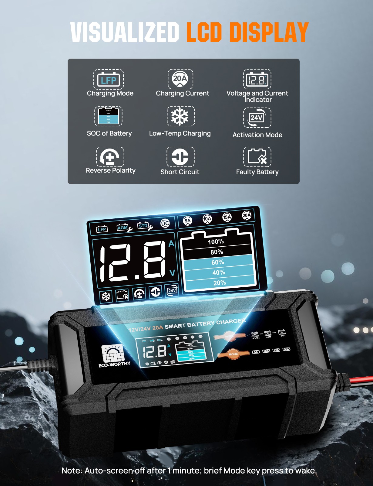 ECO-WORTHY 12V/24V 20A Lithium LifePO4 Battery Charger 14.6V Maintenance