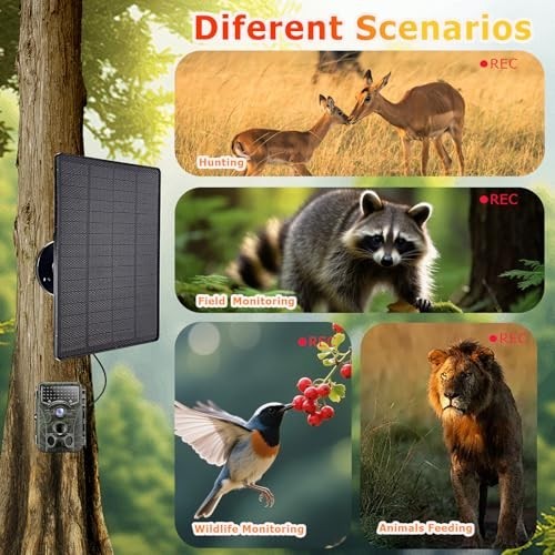6W Solar Panel Charger for Trail Cameras, 6000mAh Battery, IP65 Waterproof, 5ft