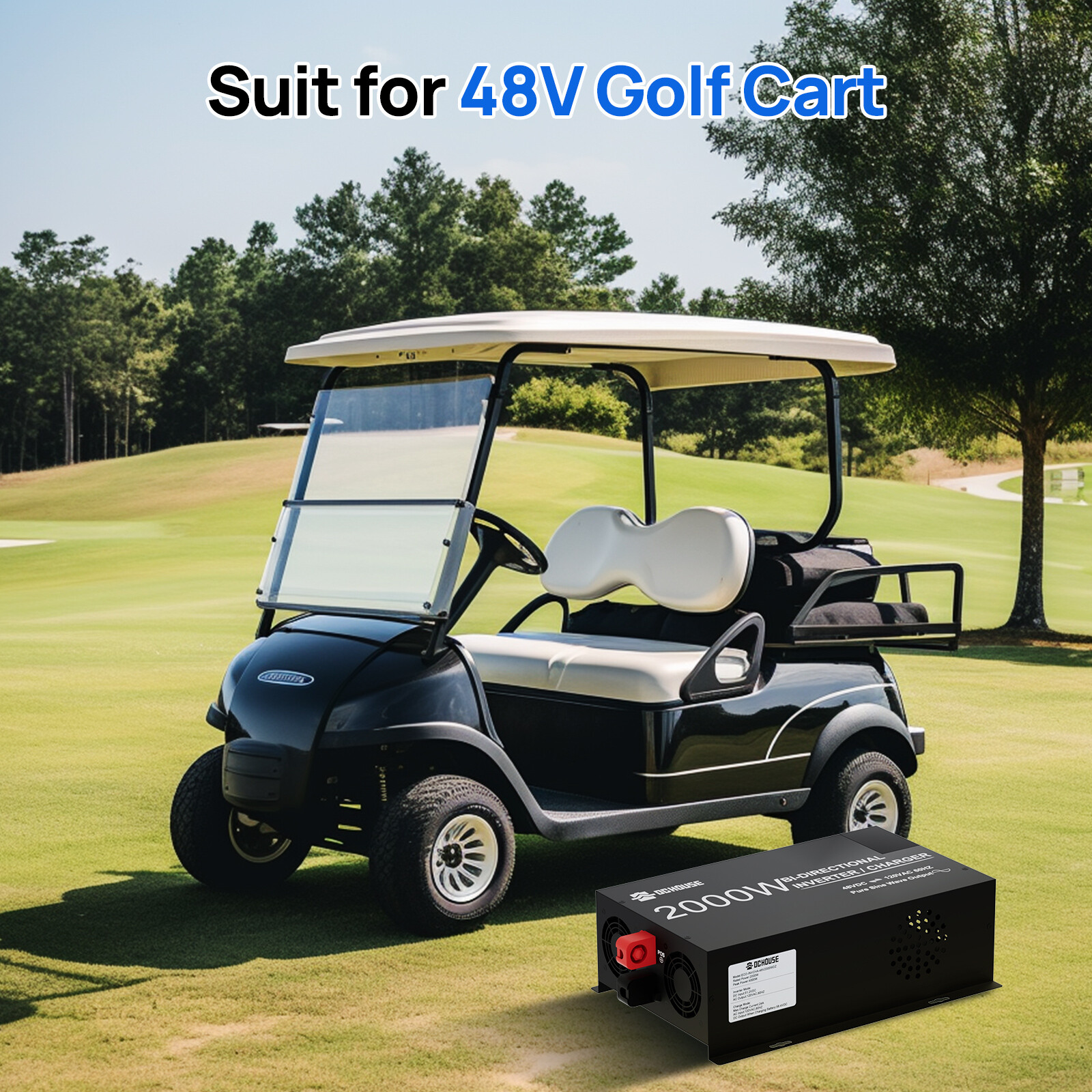 48V 2000W Pure Sine Wave Inverter 25A Lithium Battery Charger 2 in 1 Golf Carts