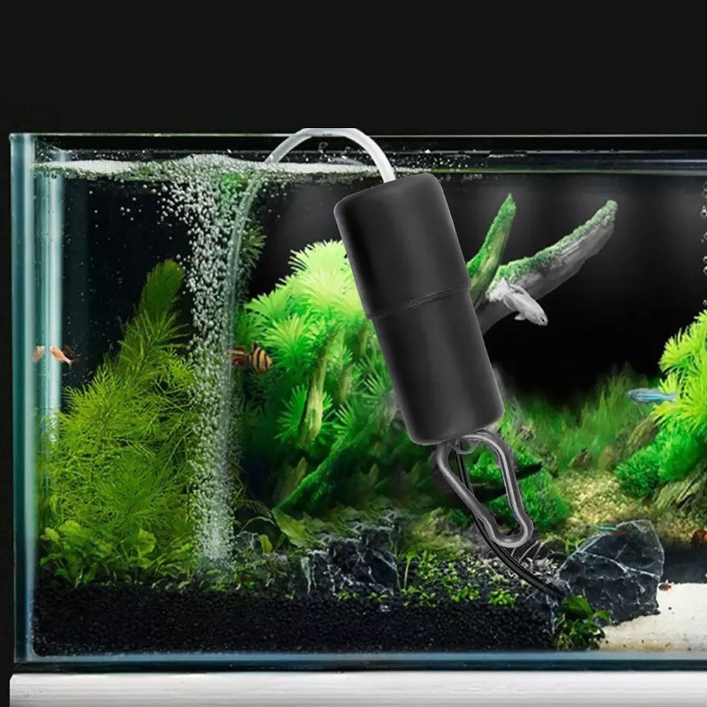 Portable 10W Solar Oxygen Pump Kit for Aquariums and Small Water Bodies