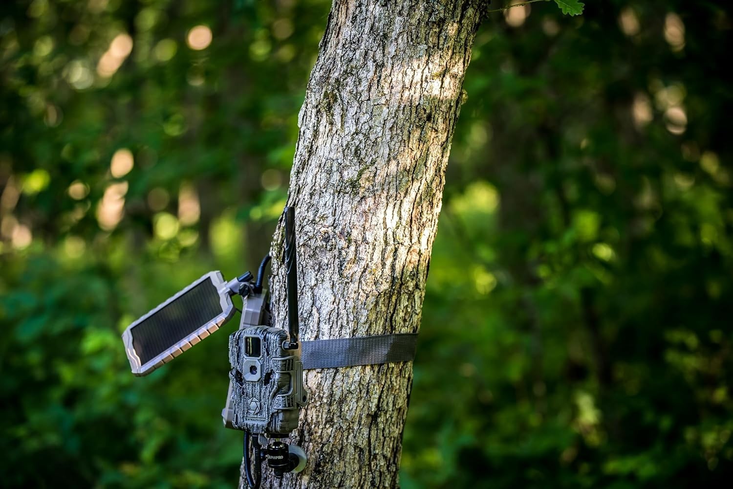 3000mAh Sol-Pak Solar Battery Pack with 10ft Insulated Cable for Trail Cameras
