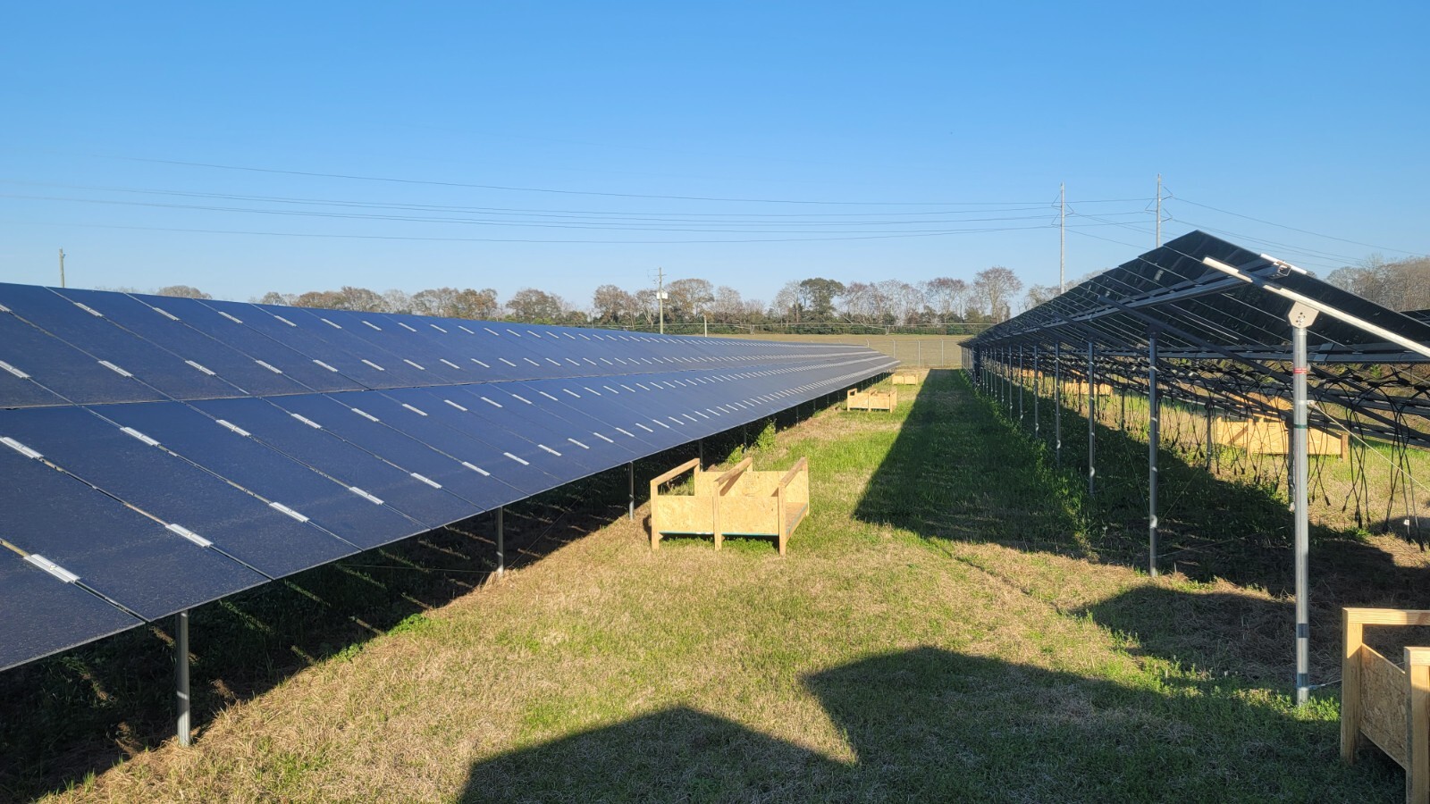 Used Solar Panels (1000+ available) Land Sold, 6-8 Yrs. Old, 145 Watts