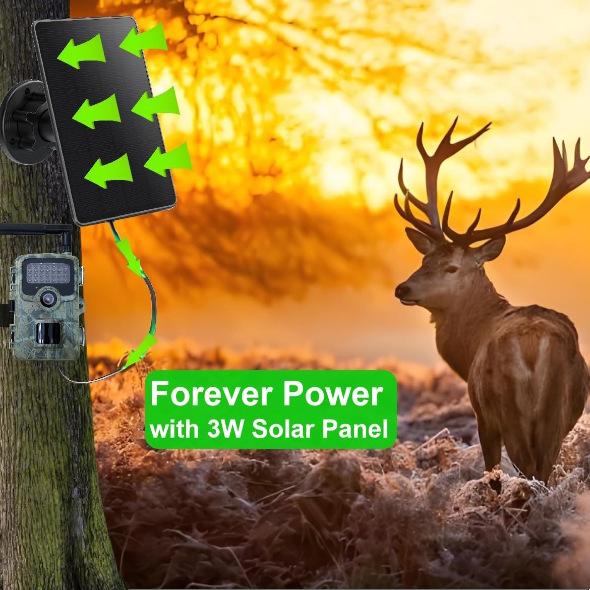 Solar Panel for Trail Camera, 5000mAh Rechargeable Battery, IP66 Waterproof, 10f
