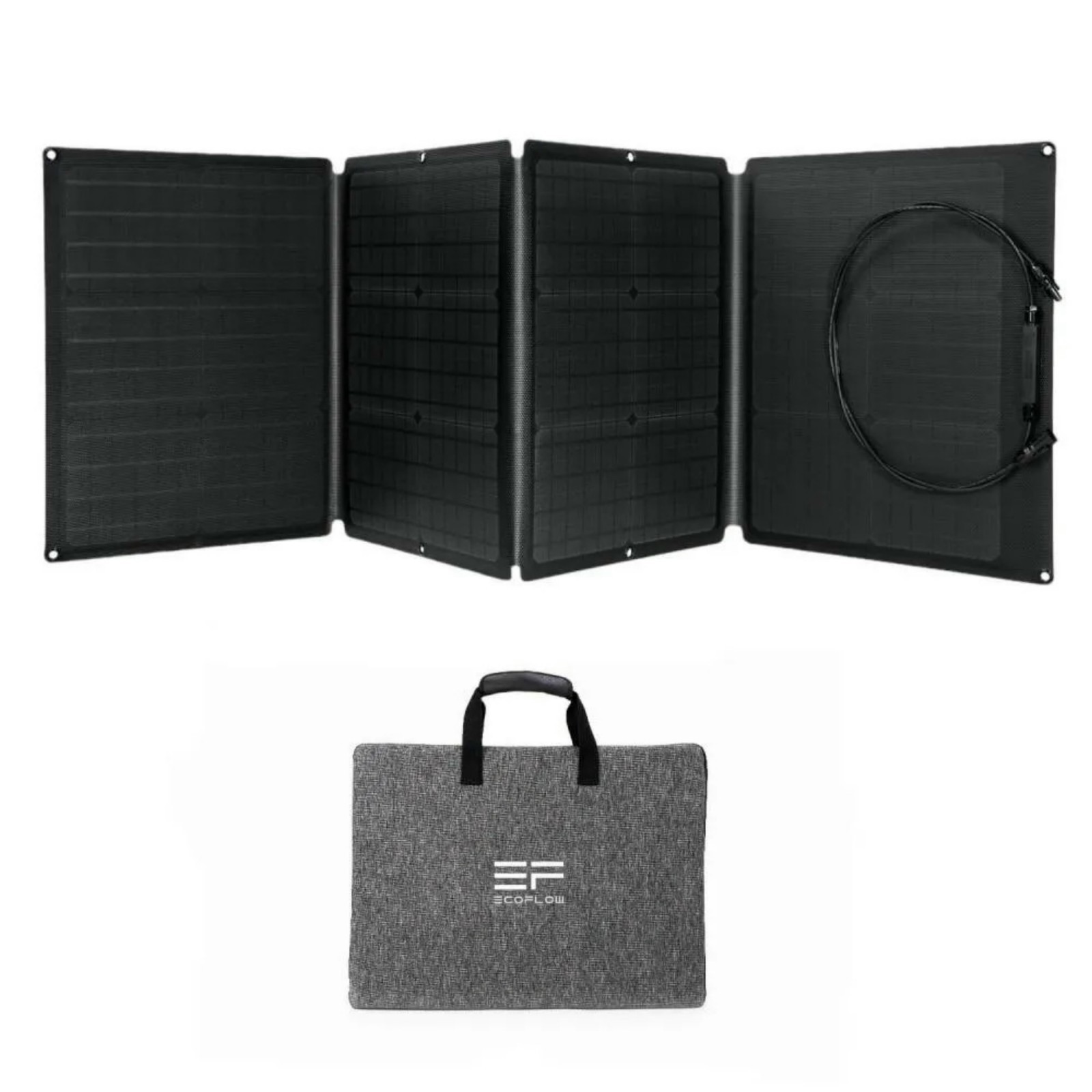 ECOFLOW 110W Portable Foldable Solar Panel with Carry Case #EF-Flex-110C – NIB