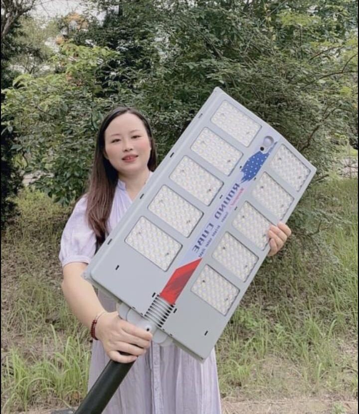 SAABO Solar Lights+ 1000W