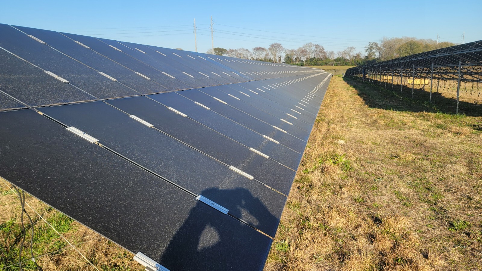 Used Solar Panels (1000+ available) Land Sold, 6-8 Yrs. Old, 145 Watts