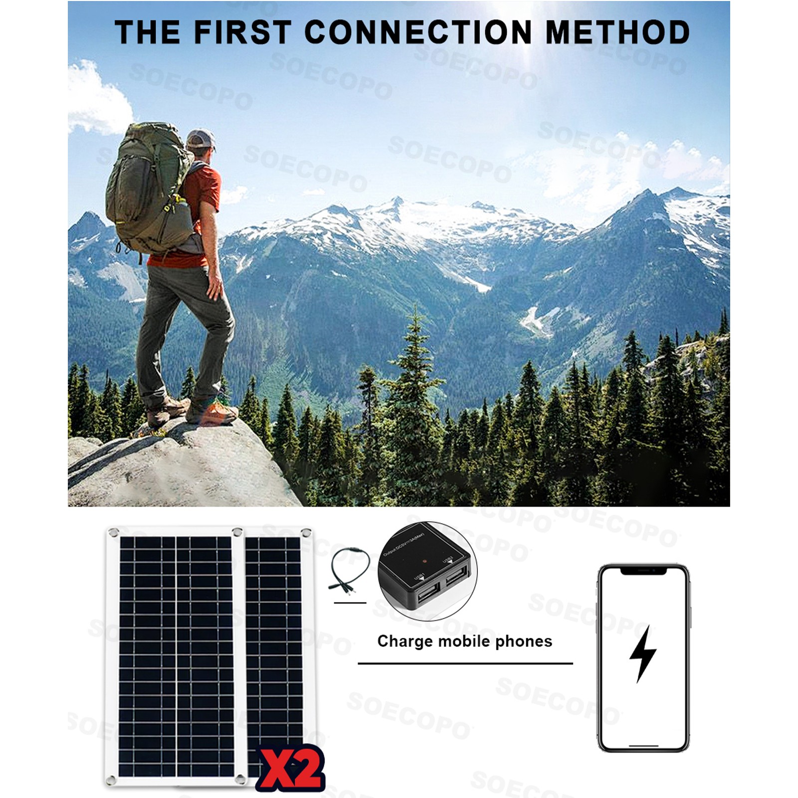 10000W Inverter (12V-110V/220V) + 2pcs Solar Panels + Charge Controller 100AaH