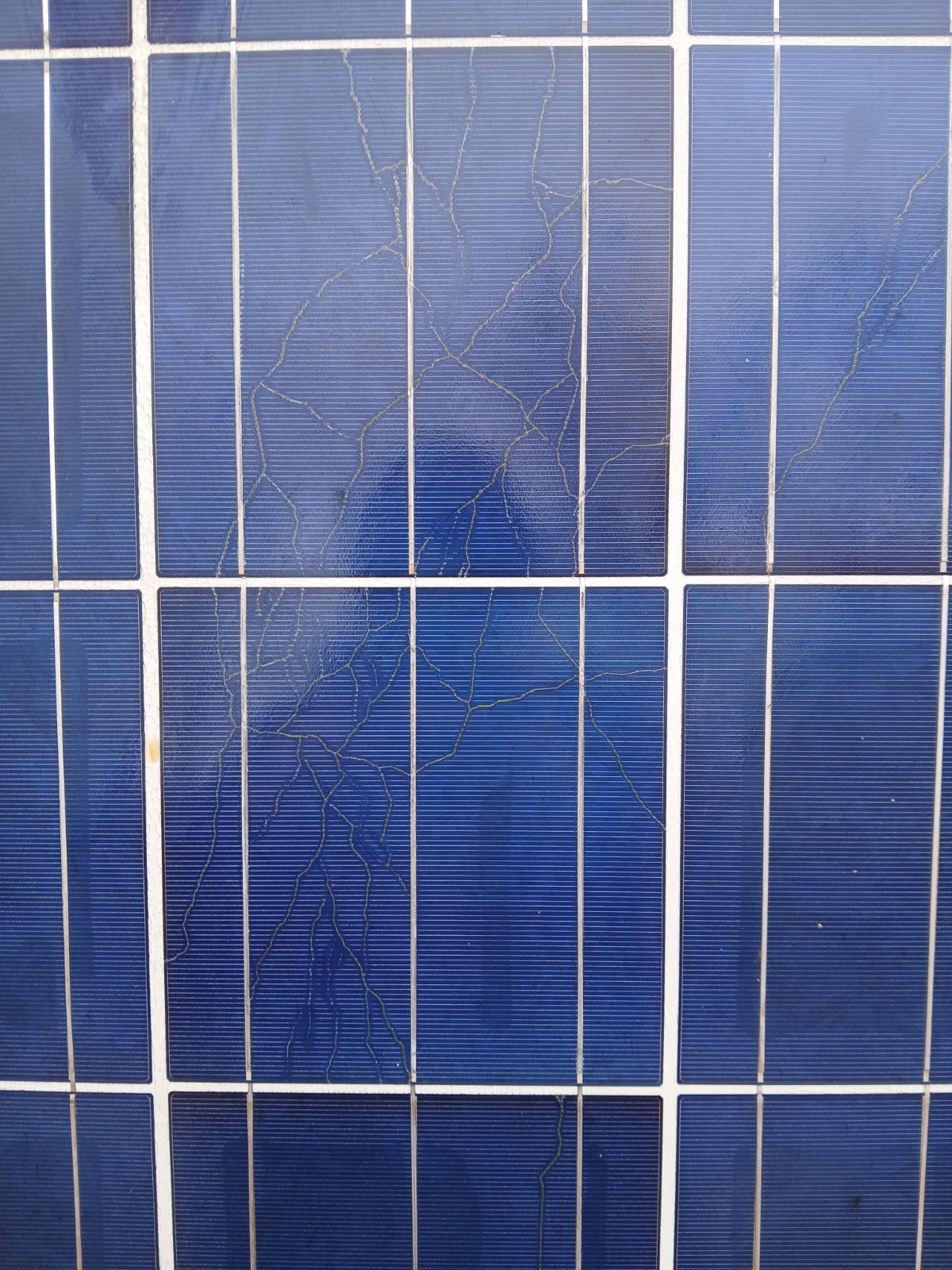 Trina 250W Used Solar Panel | Local Pickup | Bridgeton NJ 08302